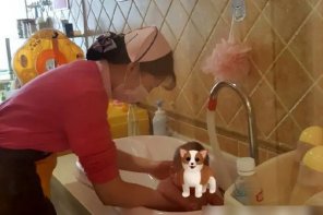 月子中心连锁加盟品牌哪个好