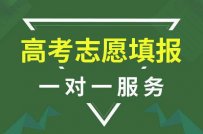 开高考志愿填报机构需要什么条件