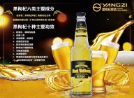 目前什么啤酒适合代理?做啤酒代理选什么产品好