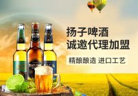 这个夏天做什么生意最好做？可以做啤酒代理！