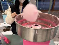 想学棉花糖制作工艺需要多少钱