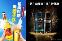 湖北代理加盟扬子啤酒需要多少钱