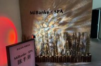 养生spa馆加盟需要多少钱