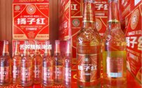啤酒代理好不好做？扬子啤酒给出理想答案