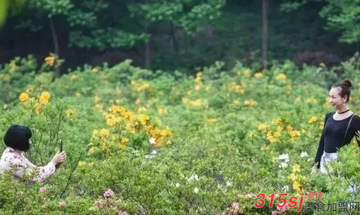 如何做好乡村旅游？乡村旅游的生命力在于“乡土味”？_5