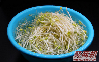 泡菜炒豆芽家常做法大全步骤图2