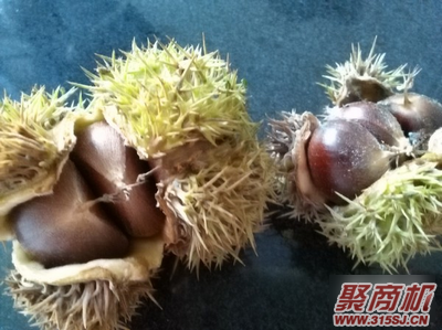 糖炒栗子家常做法大全步骤图1