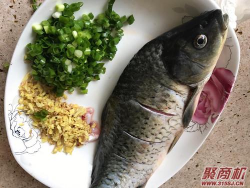 鲤鱼不能和哪些食物同食