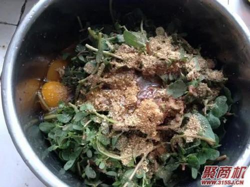 马齿苋鸡蛋煎饼家常做法大全步骤图4