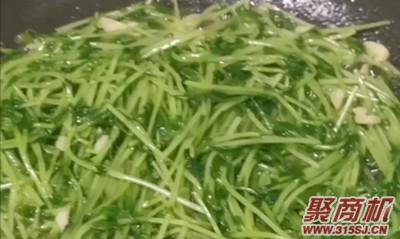 蒜蓉豆苗家常做法大全步骤图4