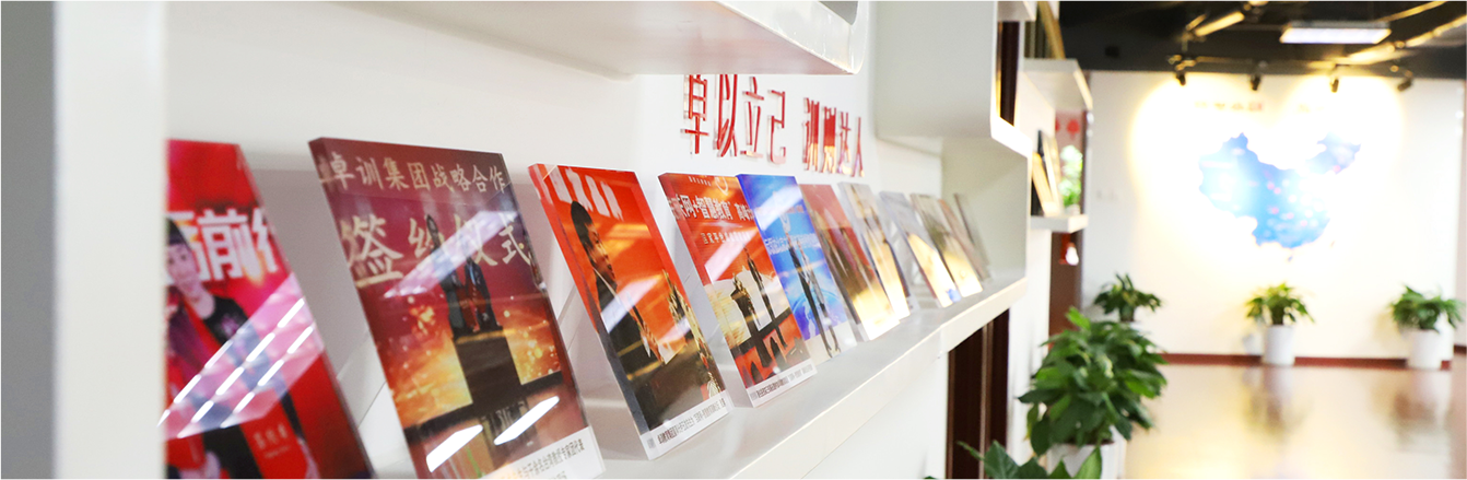 卓训教育品牌故事