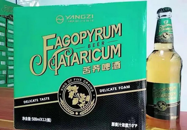 苦荞啤酒加盟