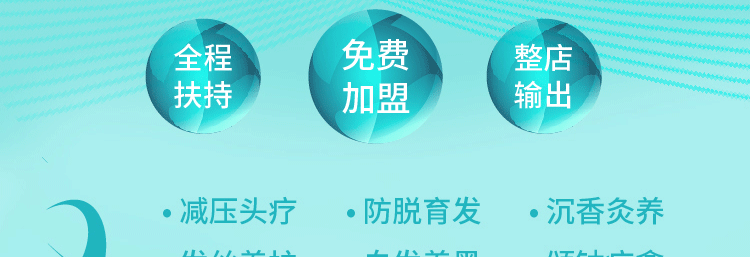 华豫东方本草招商海报