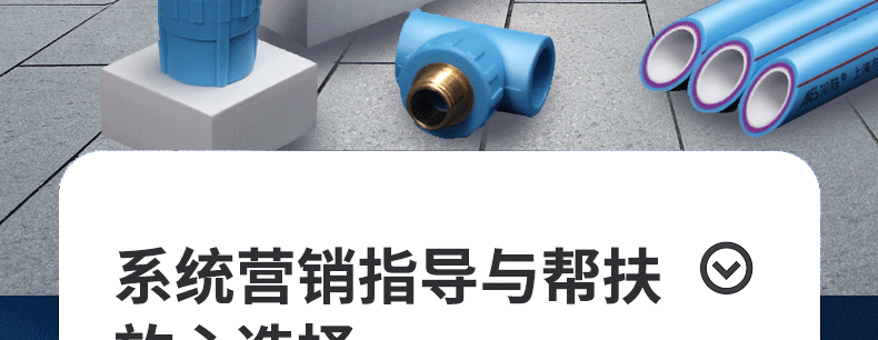 龙胜管招商海报