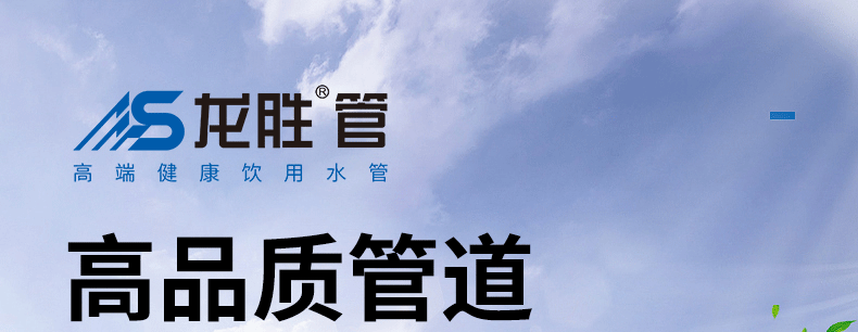 龙胜管招商海报