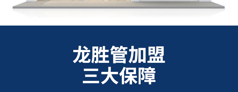 龙胜管招商海报