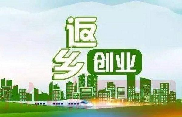 2024年返乡创业可以做什么项目？_1