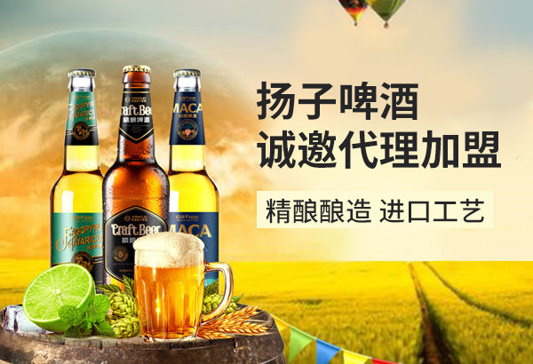 代理功能啤酒有什么品牌？