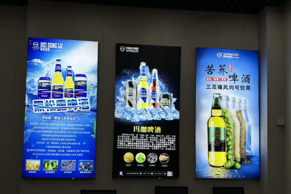 扬子啤酒10万招代理真的吗