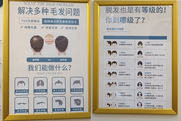 华豫东方本草：传承本草智慧，铸就头部健康养护典范