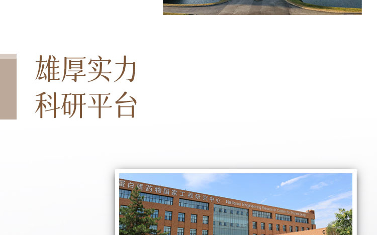 江中精酿啤酒招商海报