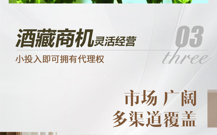 江中精酿啤酒招商海报
