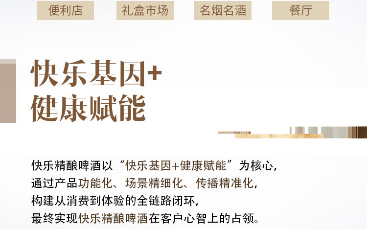 江中精酿啤酒招商海报