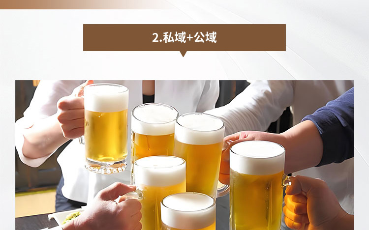 江中精酿啤酒招商海报