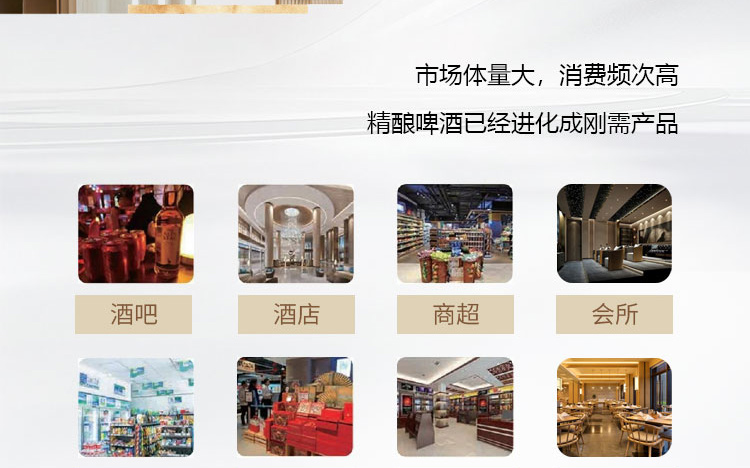 江中精酿啤酒招商海报