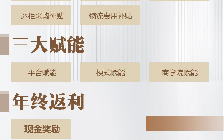 江中精酿啤酒招商海报