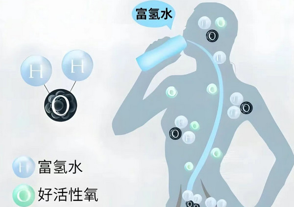社区直饮水站多少钱一台