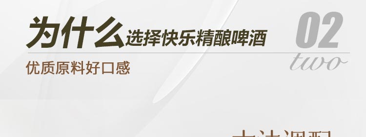 江中食疗快乐精酿啤酒加盟