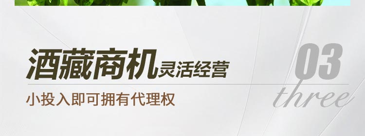 江中食疗快乐精酿啤酒加盟