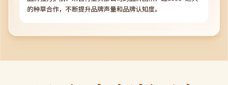 棉花树童装加盟