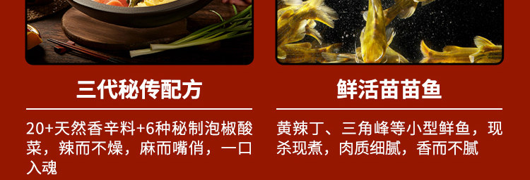 石锅苗苗鱼加盟
